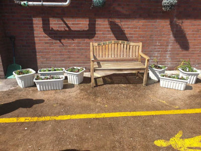 Memorial/Welbeing Garden. | Asda Harpurhey