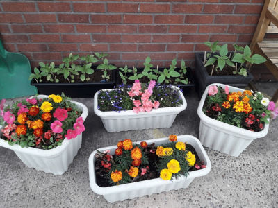 Update on Memorial Garden. | Asda Harpurhey