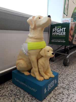 Guide Dogs for the Blind  | Asda Bournemouth
