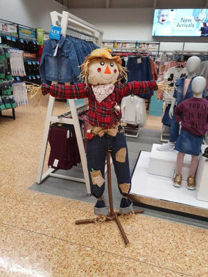 Harvest festival fun | Asda Derby