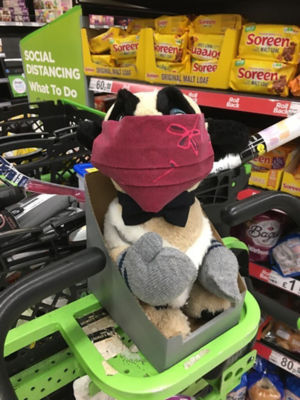 Meet Boris – the home shopping mascot at Asda Leyton Mills | Asda Leyton Mills