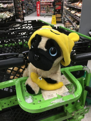 Meet Boris – the home shopping mascot at Asda Leyton Mills | Asda Leyton Mills