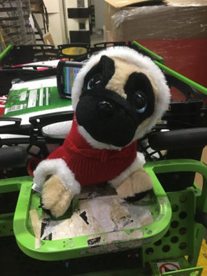 Meet Boris – the home shopping mascot at Asda Leyton Mills | Asda Leyton Mills