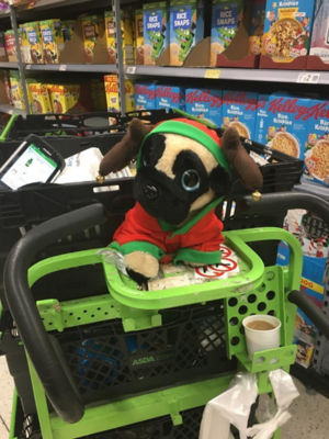Meet Boris – the home shopping mascot at Asda Leyton Mills | Asda Leyton Mills