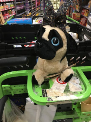 Meet Boris – the home shopping mascot at Asda Leyton Mills | Asda Leyton Mills