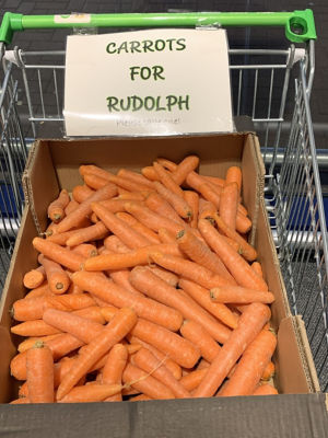 Carrots for Rudolph | Asda Aberdeen Beach