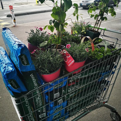 Donating Plants and soil to the Art Shack | Asda St Leonards on Sea