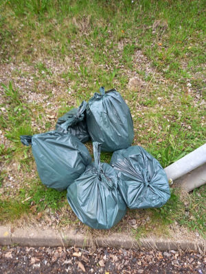 Who knew litter picking was good for your wellbeing! | Asda Wolstanton