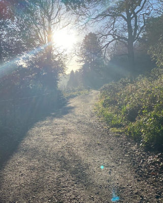 Penllergare Well being walk | Asda Gorseinon
