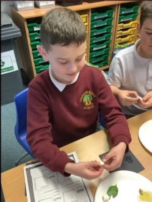 Food tasting | Asda Bromborough