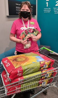 Pta school garden | Asda Newport Isle of Wight