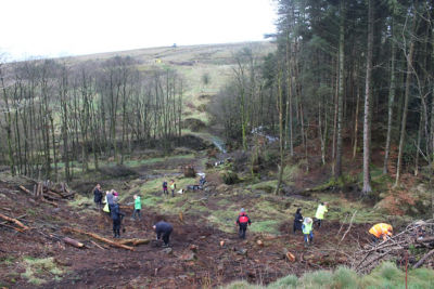 Bolton store ACC planting trees with the Woodland Trust.  | Asda Bolton