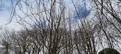 Visit to Hawbush Gardens | Asda Dudley