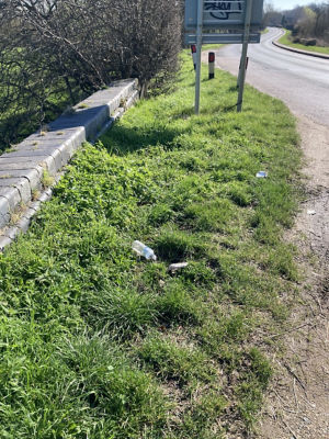 Litter pick | Asda Wheatley