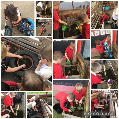 Supporting Millbrook Primary School | Asda Newport Pillgwenlly 
