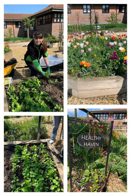 A visit to the Healthy Haven Garden | Asda Totton