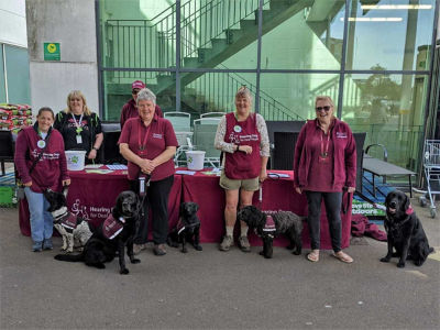 Hearing dogs for deaf people  | Asda Poole