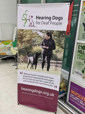 Hearing dogs for deaf people  | Asda Poole