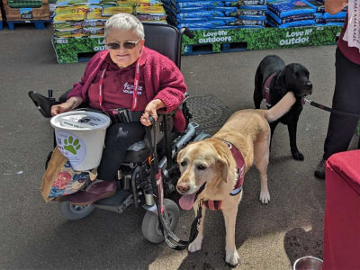 Hearing dogs for deaf people  | Asda Poole