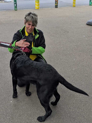 Hearing dogs for deaf people  | Asda Poole