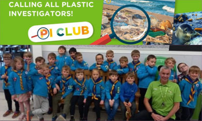 Plastic investigators | Asda Boston