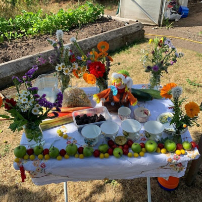 Community Allotment  | Asda Worksop