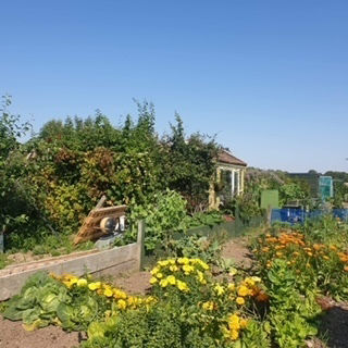 Aden Community Allotments Association Open Day | Asda Peterhead