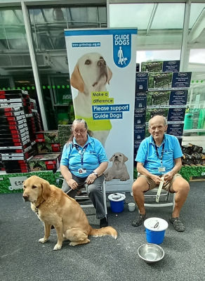 Guide dogs for the blind | Asda Falmouth