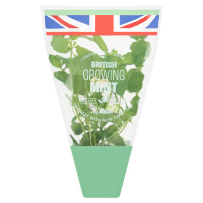 ASDA British Growing Mint