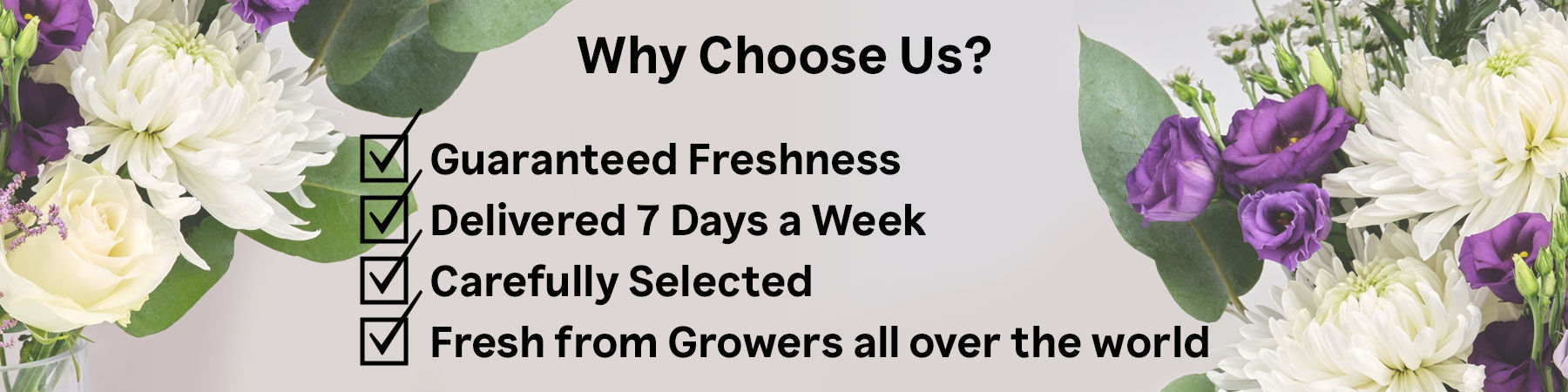 Why Choose Us?