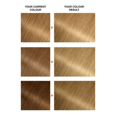 Garnier Belle Belle Color 8.3 Natural Golden Blonde Permanent Hair Dye