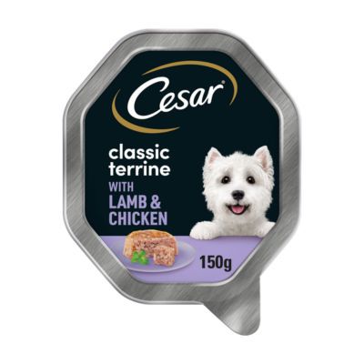 Cesar ® Classics Terrine Dog Food Tray Lamb & Chicken in Jelly 150g