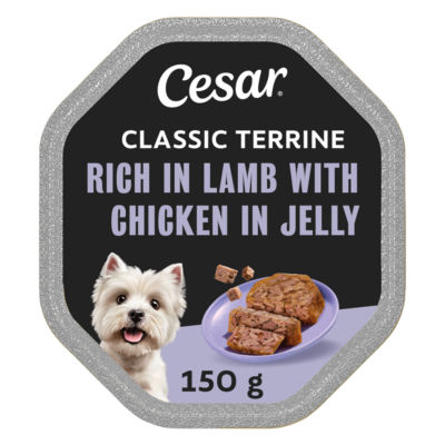 Cesar Classic Terrine Wet Dog Food tray Rich in Lamb with Chicken in Jelly 150g