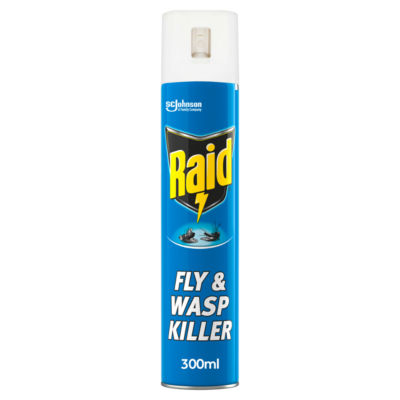 Raid Rapid Action Fly & Wasp Killer 300ml