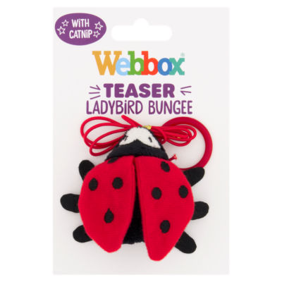 Webbox Teaser Ladybird Bungee