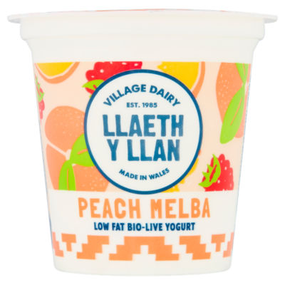 Village Dairy LLaeth y Llan Peach Melba Low Fat Bio-Live Yogurt 125g