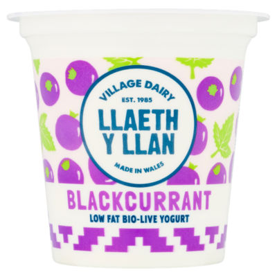 Village Dairy Llaeth y Llan Blackcurrant Low Fat Bio-Live Yogurt 125g