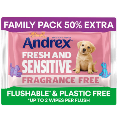 Andrex Fresh and Sensitive Flushable Hygiene Wipes 45 Wipes