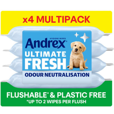 4 Ultimate Fresh Hygiene Wipes