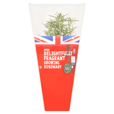 ASDA Delightfully Fragrant Growing Rosemary