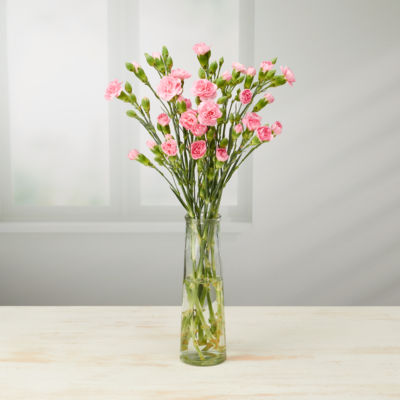 ASDA Traditional Spray Carnations