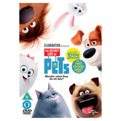 DVD The Secret Life of Pets - DVD