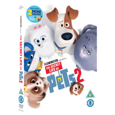 DVD The Secret Life of Pets 2 - DVD