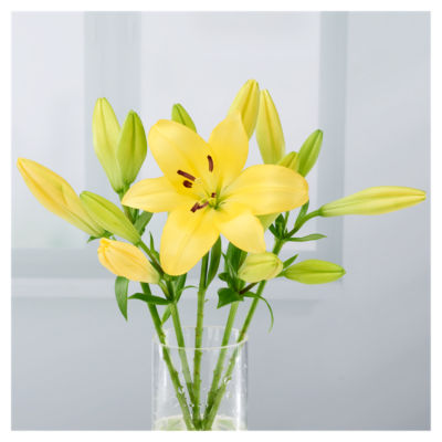 ASDA LA Lilies