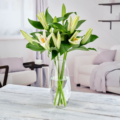 Exceptional by ASDA Premium Lilies