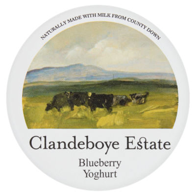 CLANDEBOYE ESTATE Blueberry Yoghurt 150g