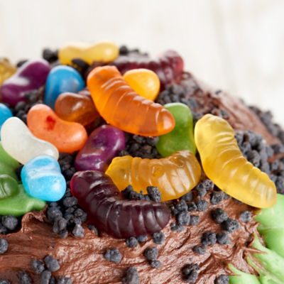 Creepy crawly cake close up