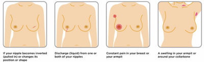 Be Your Breast Friend