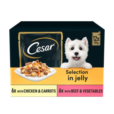 Cesar Deliciously Fresh Wet Dog Food Pouches in Jelly 12x100g