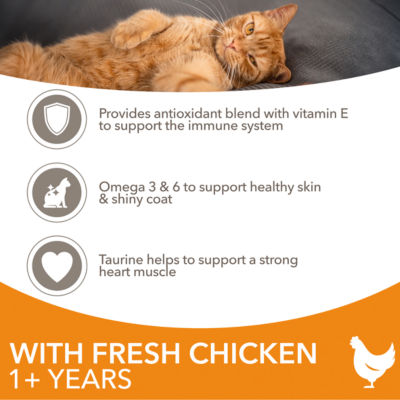 Iams Advanced Nutrition Adult Dry Cat Food Chicken 2kg - ASDA Groceries